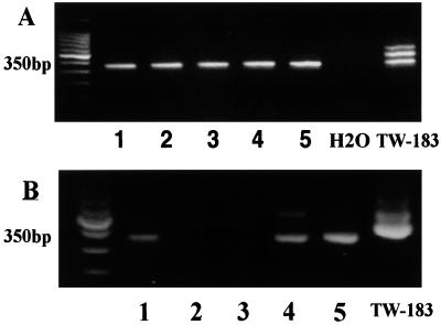 FIG. 5