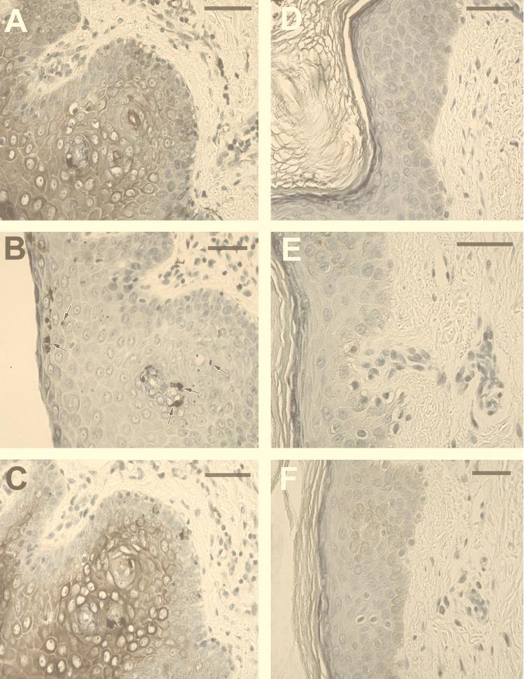 FIG. 6