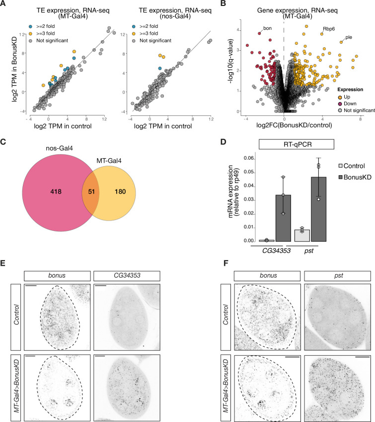 Figure 2—figure supplement 1.