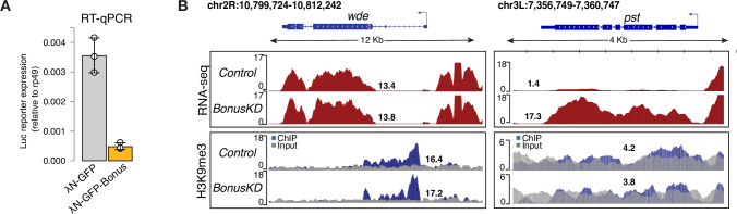 Figure 3—figure supplement 1.