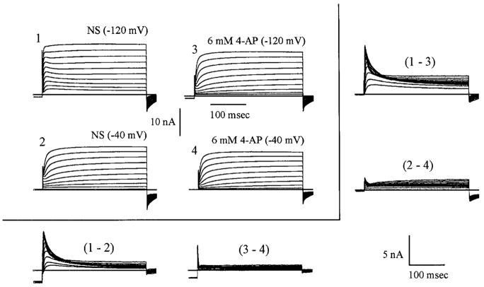 FIG. 6