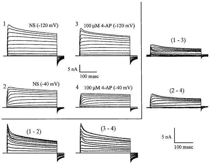 FIG. 5