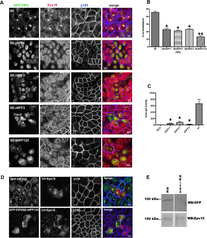 FIGURE 3: