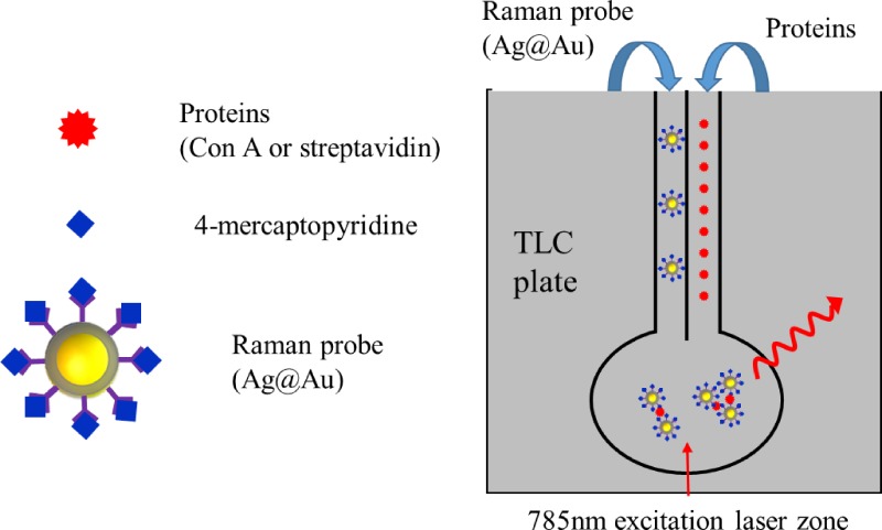 FIG. 20.