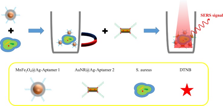 FIG. 10.