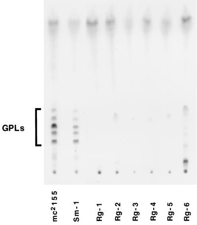 FIG. 6