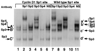 FIG. 7