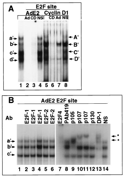 FIG. 8