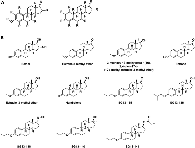 Figure 1