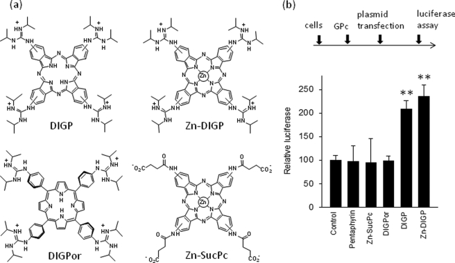 FIGURE 10.