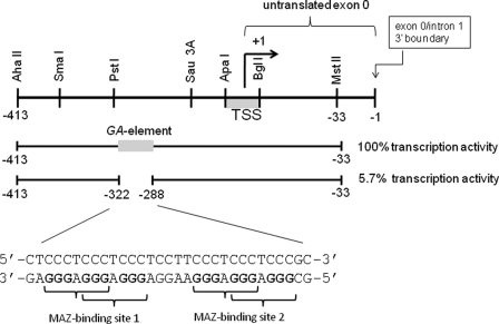 FIGURE 1.