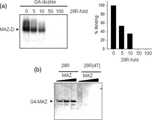 FIGURE 5.