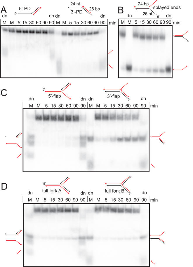 Figure 5.