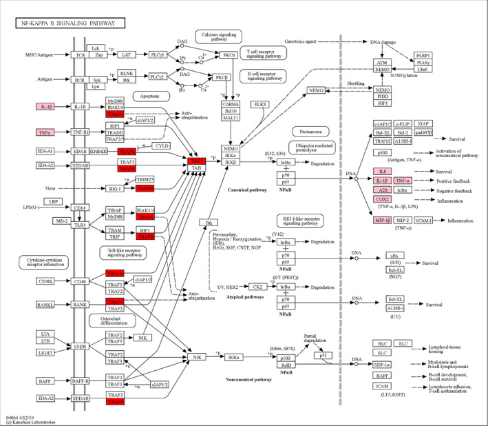 Fig. 4