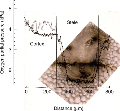 Fig. 9.