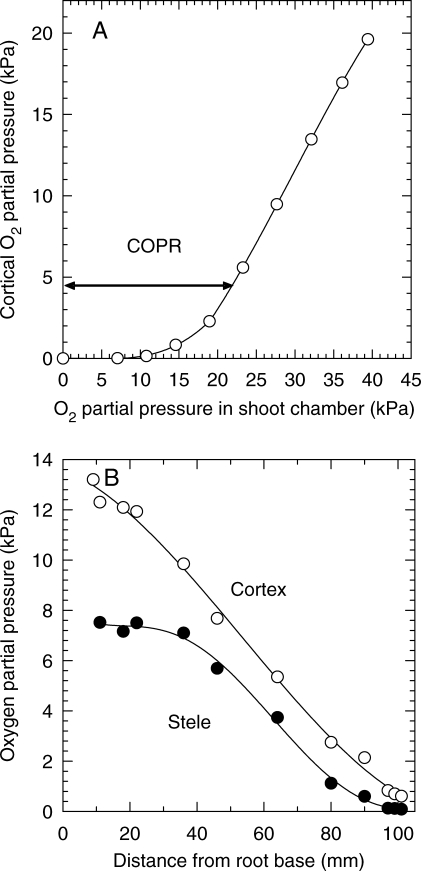 Fig. 10.