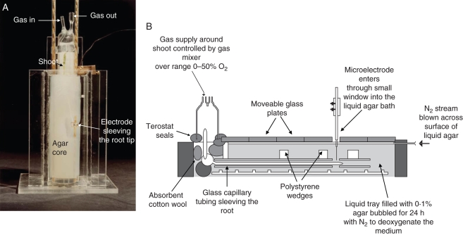 Fig. 2.