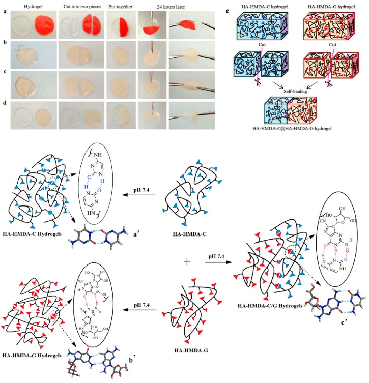 Figure 12