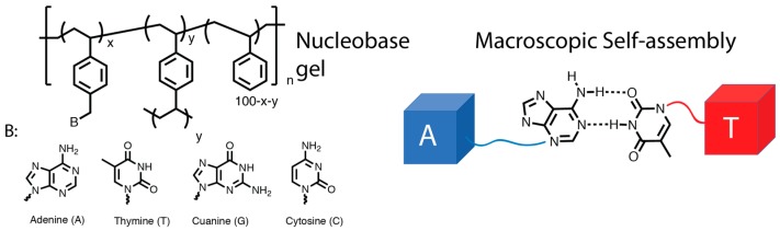 Scheme 4