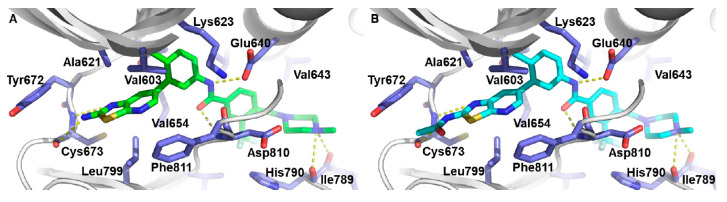 Figure 23