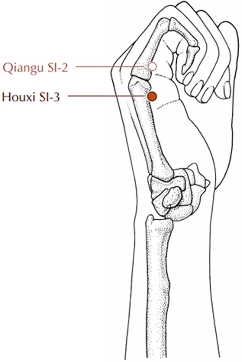 Figure 1