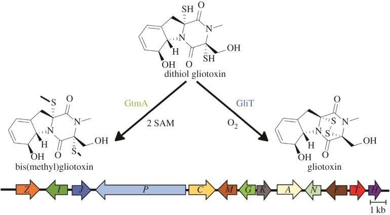 Figure 1.