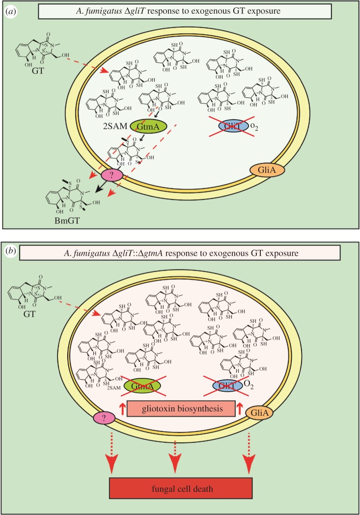 Figure 6.