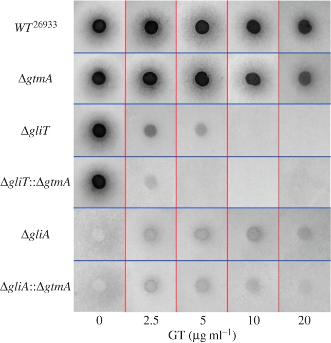 Figure 4.