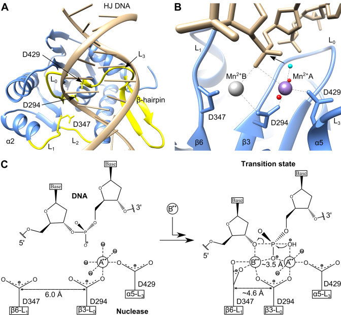 Figure 6.