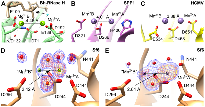 Figure 4.