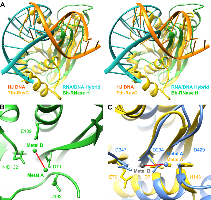 Figure 5.