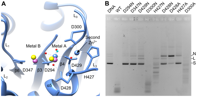 Figure 3.