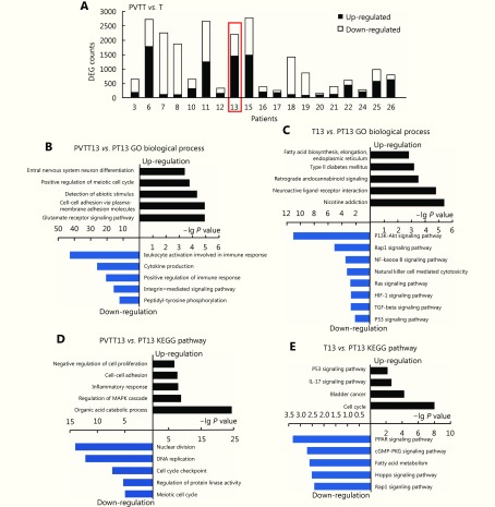 (A) Number of differently expressed genes between PVTTs and corresponding primary Ts. Top enriched biological processes in PVTT13 (B) and T13 (C) from GO enrichment analysis based on aberrantly expressed genes. Top enriched KEGG pathways in PVTT13 (D) and T13 (E) from KEGG pathway enrichment analysis based on aberrantly expressed genes.