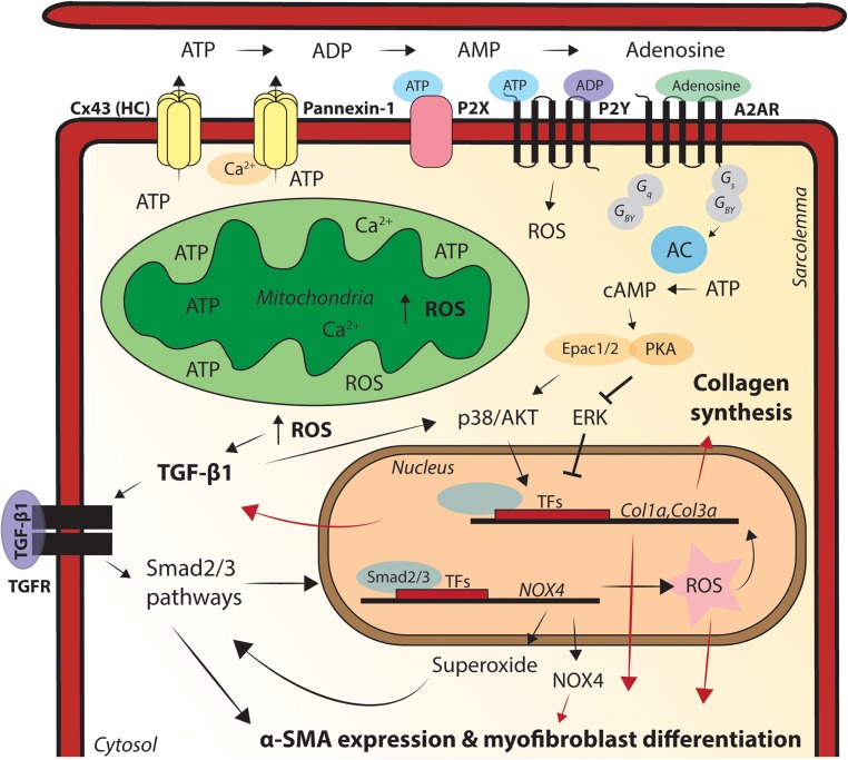 FIGURE 3