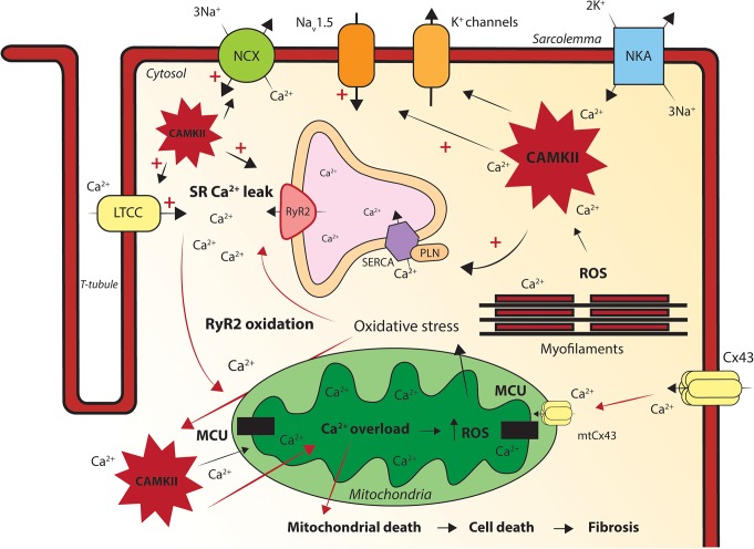 FIGURE 2