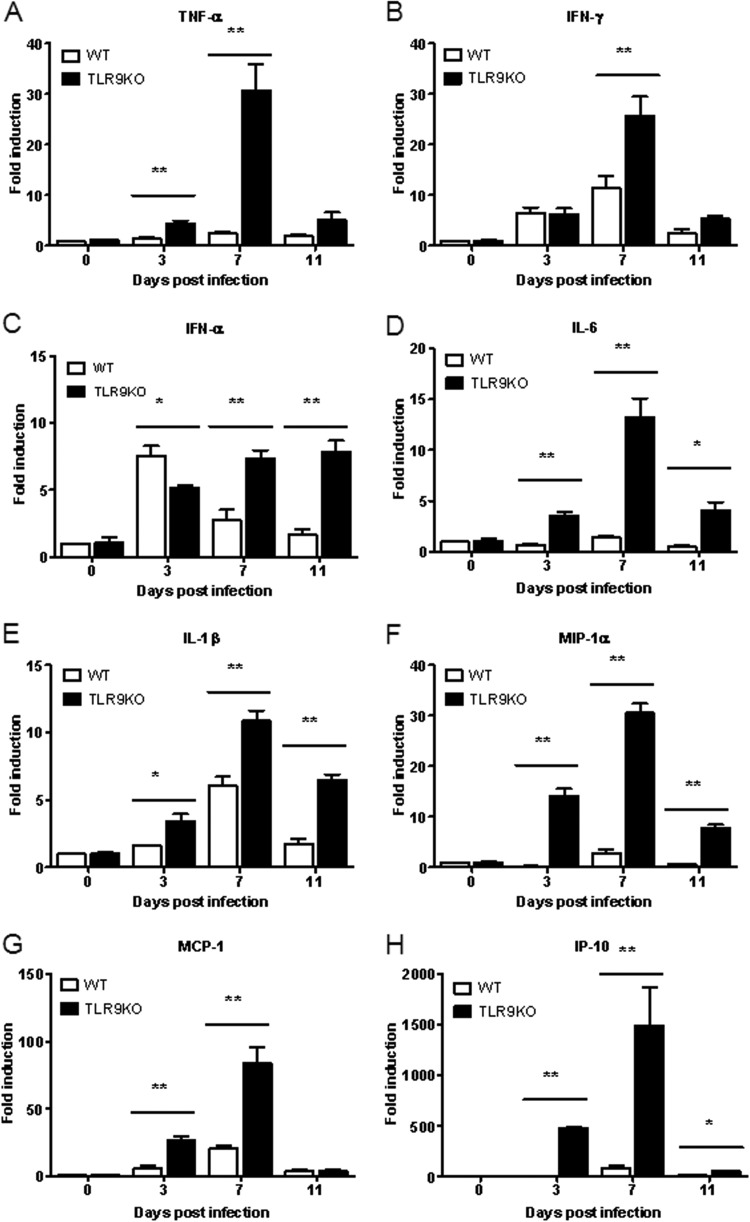 FIG 6