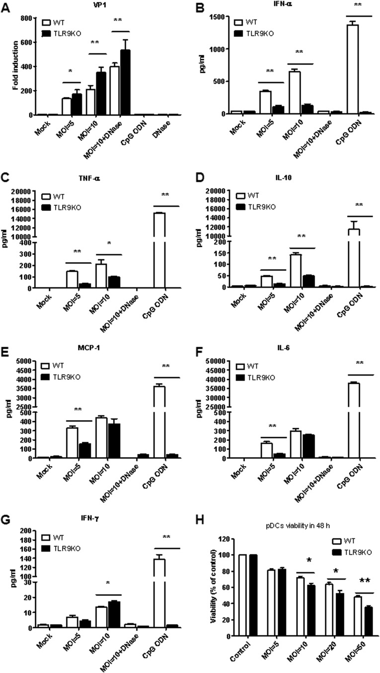 FIG 2