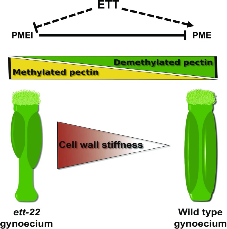 Figure 9.