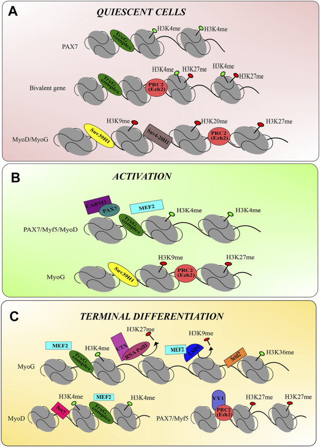 FIGURE 2