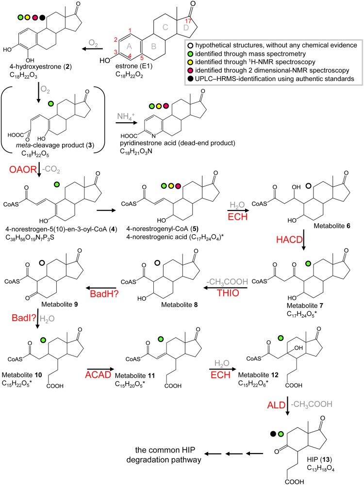 FIG 1