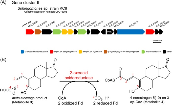 FIG 6