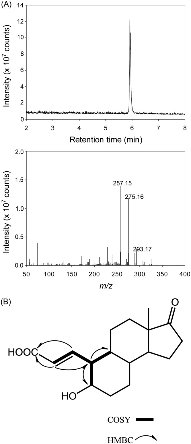 FIG 3