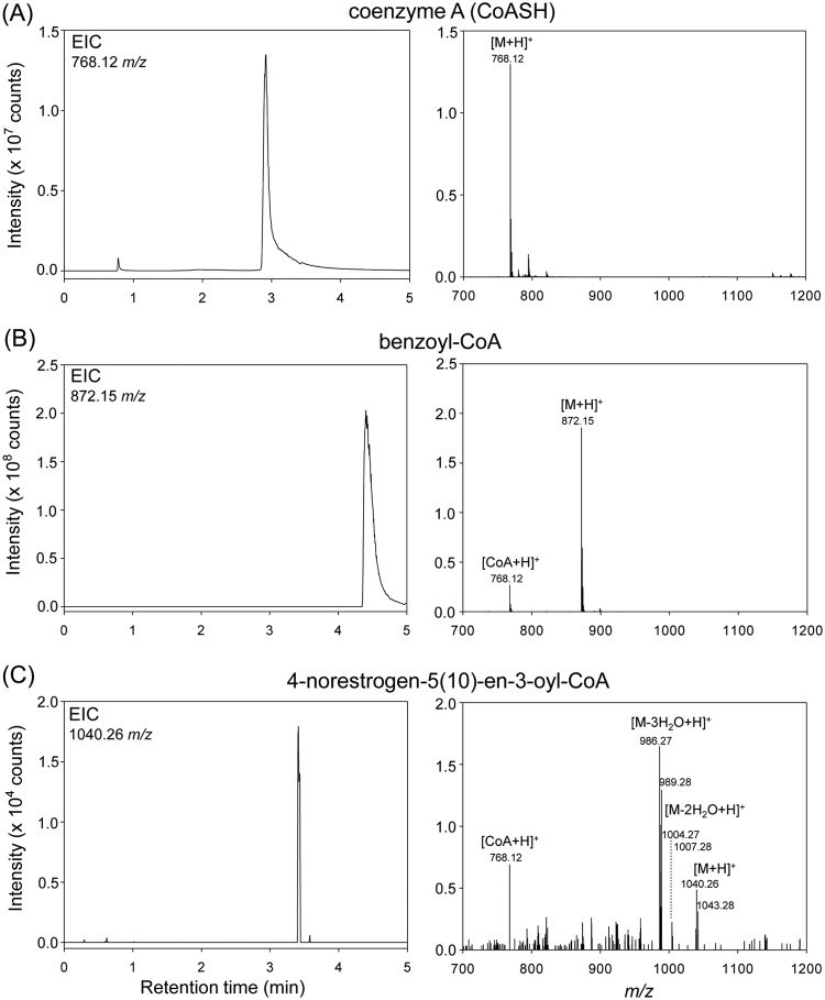 FIG 5