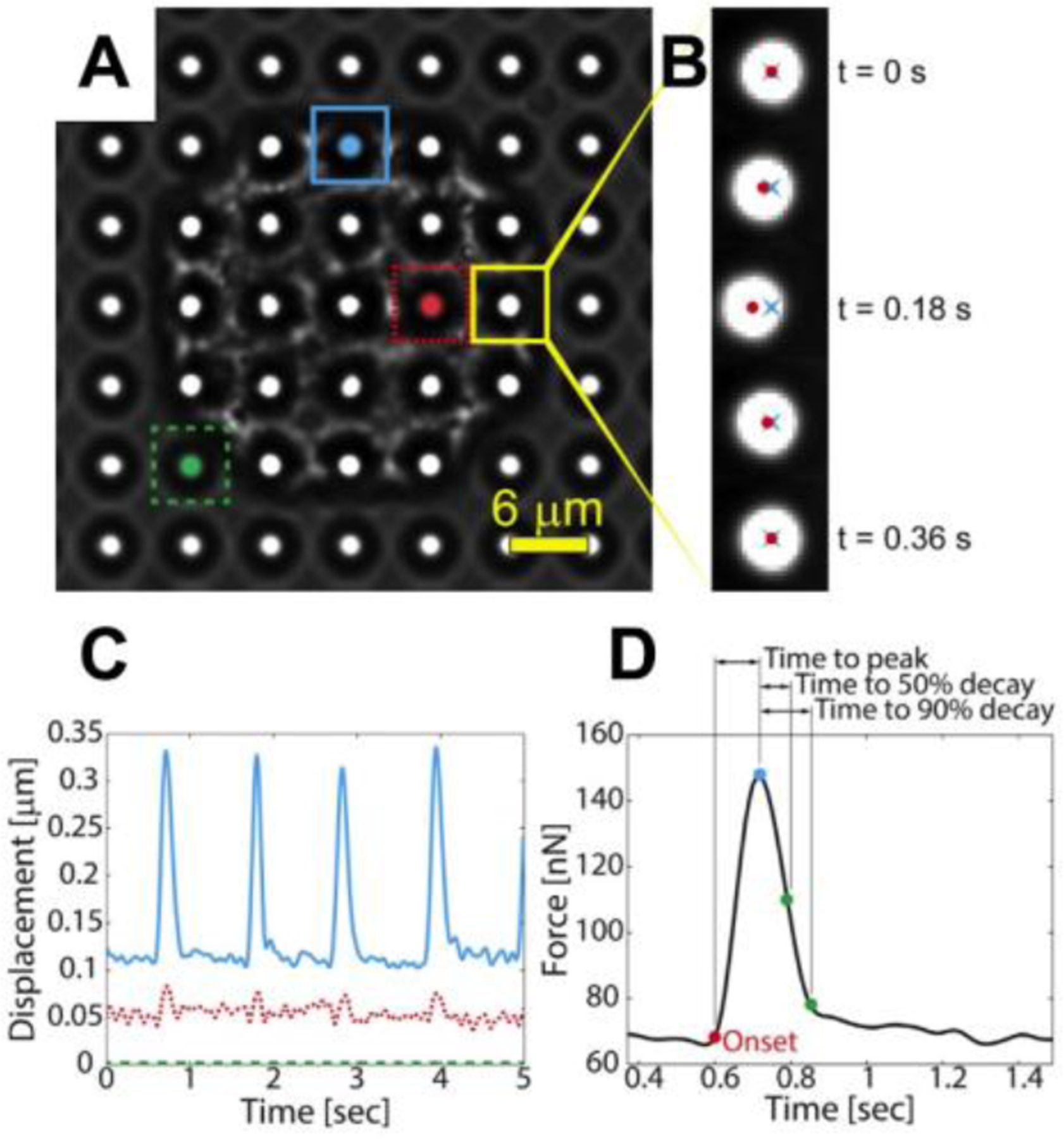 Figure 5.