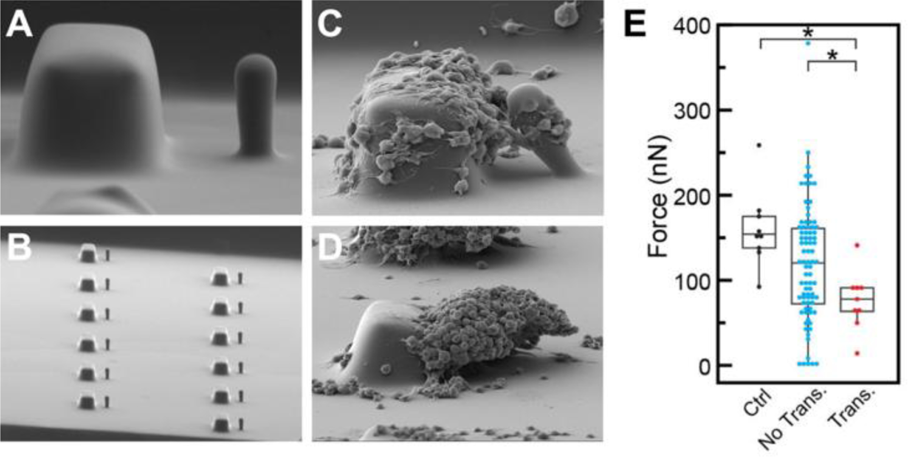 Figure 9.