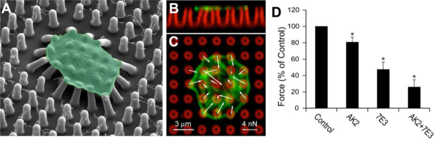 Figure 10.