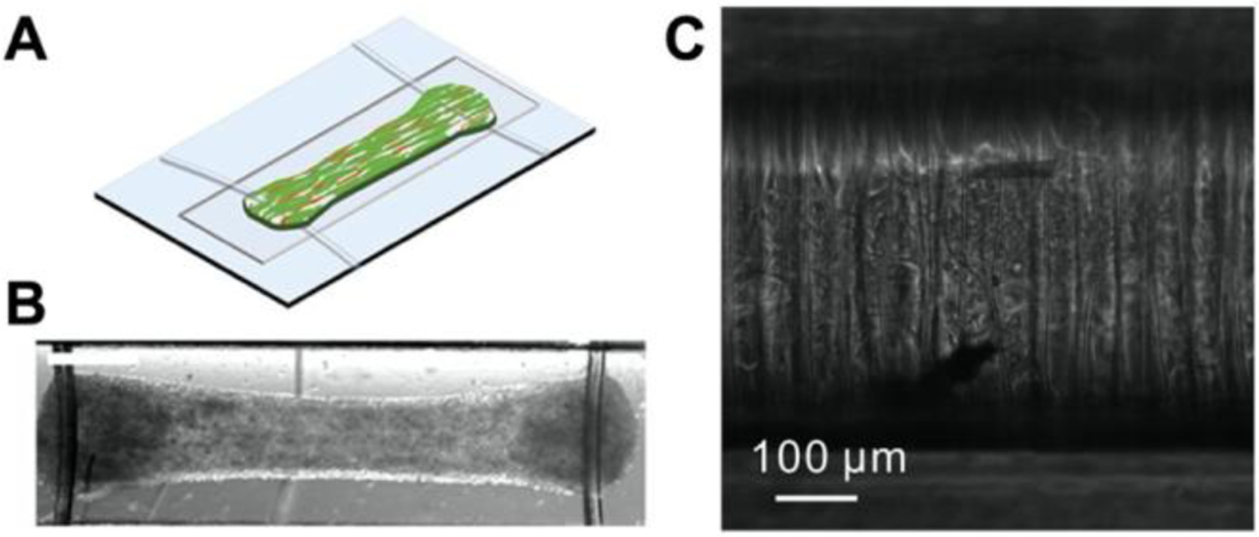 Figure 12.