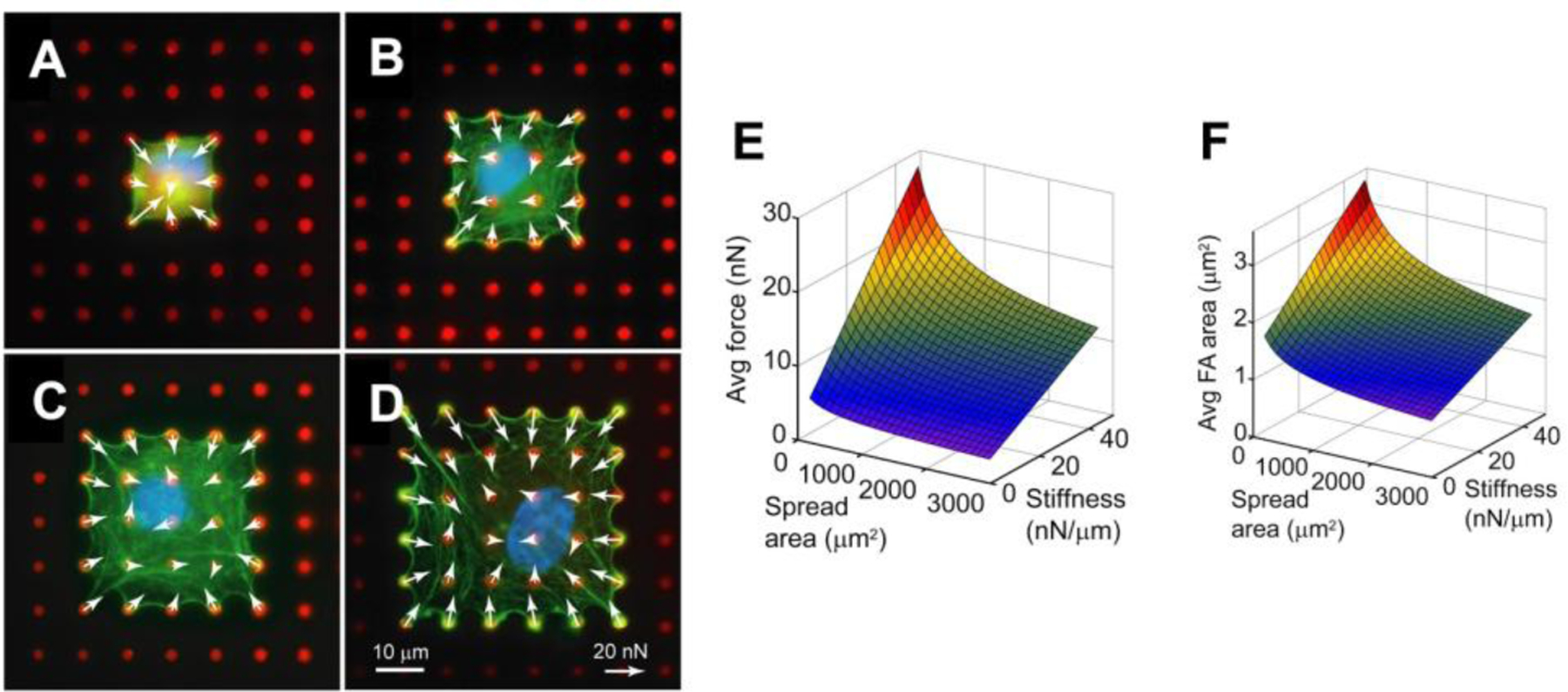 Figure 6.