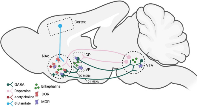 FIGURE 1