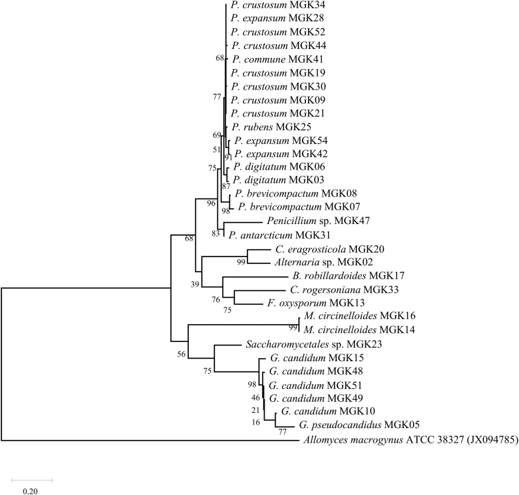 Figure 1